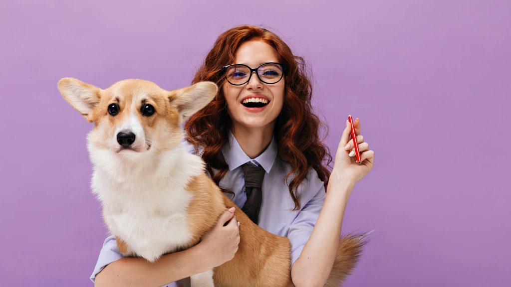 Comment porter plainte pour morsure de chien ?